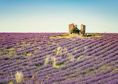 Provence
