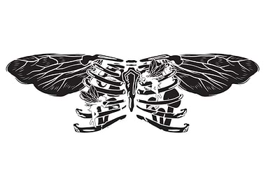 Fairycore Fairy Thorax