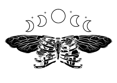 Fairycore Fairy Thorax