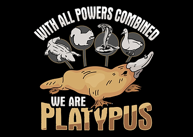 Platypus Animal
