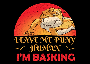 Bearded Dragon Reptile