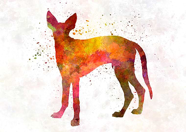 Ibiza Hound in watercolor