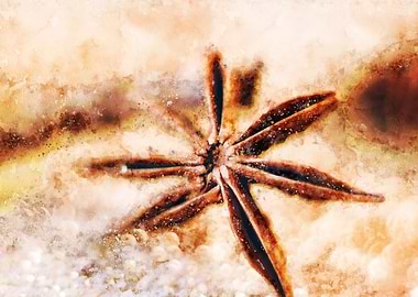 Star Anise