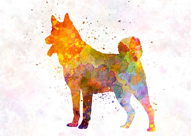 Jamthund in watercolor