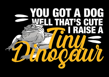 Bearded Dragon Reptile