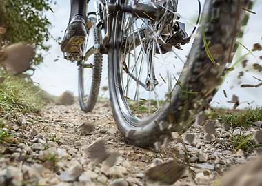 Mountain Bike Back Wheel