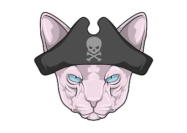 Cat Pirate Pirate hat