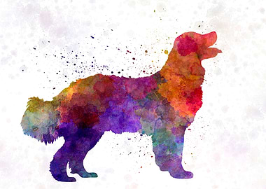 Landseer in watercolor