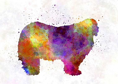 Komondor in watercolor