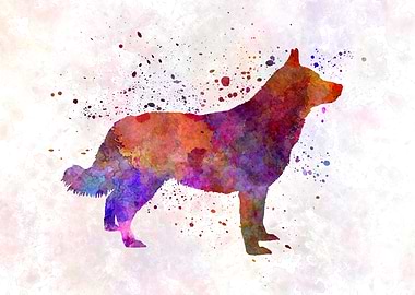 Lapponian Herder dog