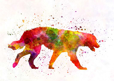 Maremma Abruzzes Sheepdog