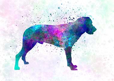 Majorca Shepherd Dog