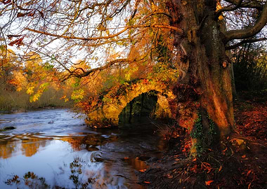 At the old bridge