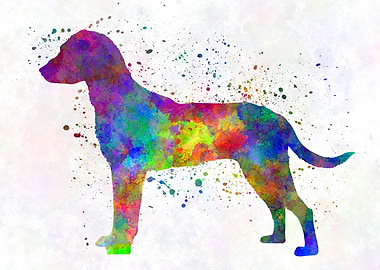 Montenegrin Mountain Hound