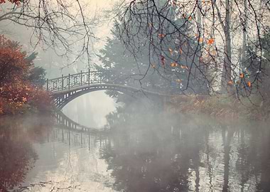 Autumn lake, bridge, park