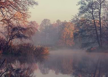 Autumn landscape in park