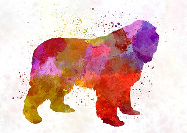 Newfoundland in watercolor