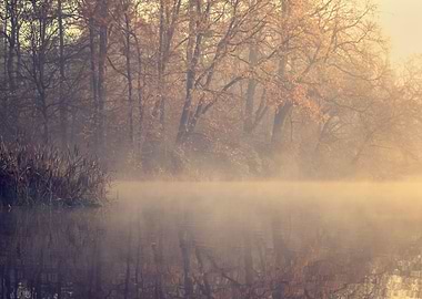 Autumn foggy lake in park