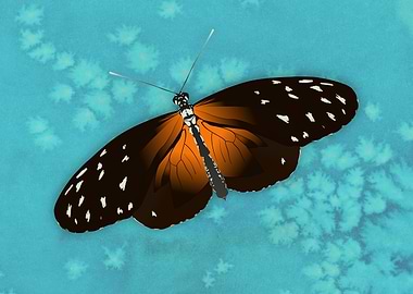 Tiger long wing butterfly