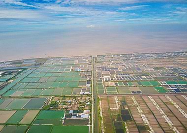 Shrimp farms in Giao Thuy