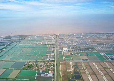 Shrimp farms in Giao Thuy