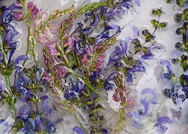 Frozen Flowers 02