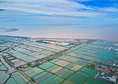 Shrimp farms in Giao Thuy
