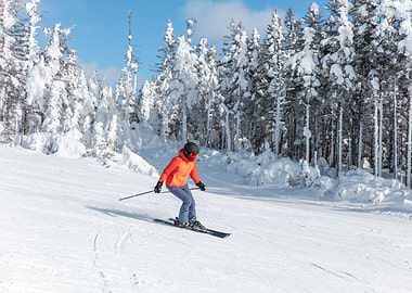 Skier skiing downhill
