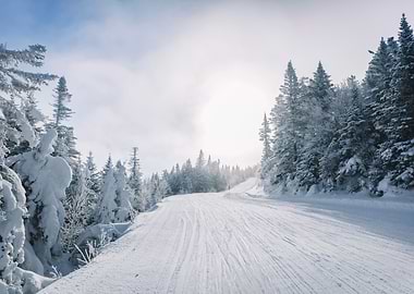 First tracks ski slope