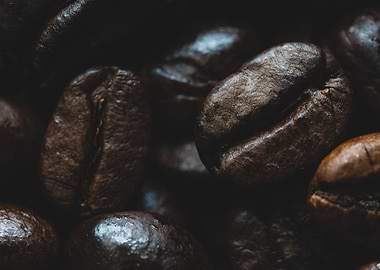 coffee beans