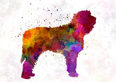 Otterhound in watercolor