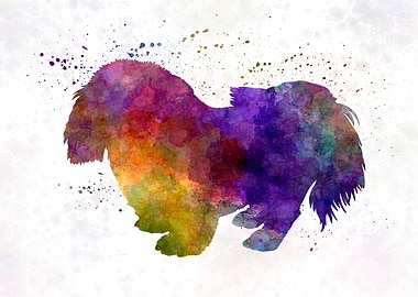 Penkingese in watercolor