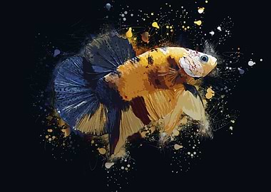 Yellow Base Bettafish