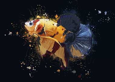 Yellow Base Bettafish