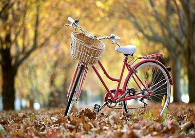 Bicycle in Autumn