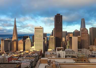 San Francisco Evening