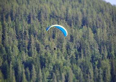 Parapente dans les arbres