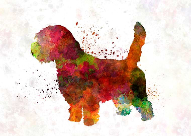 Petit Basseft Grifon Vende