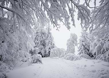 Winter mountains, B&W