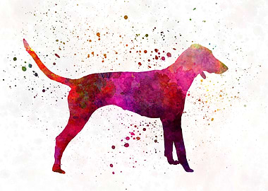 Poitevin in watercolor