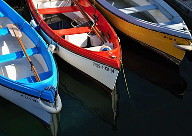 Colorful fishing boats