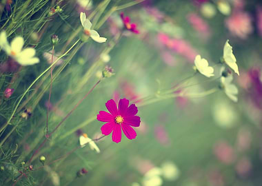 Summer floral arrangement