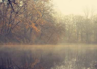 Autumn foggy lake in park