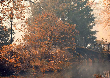 Autumn foggy lake in park