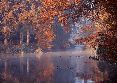 Autumn landscape in park