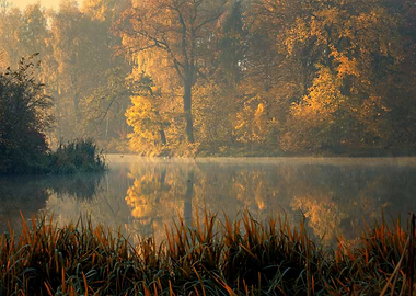 Autumn foggy lake in park