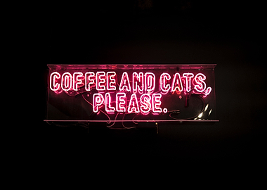 Coffee and Cats