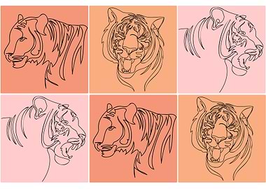 Tiger line art