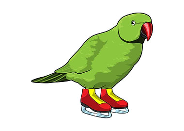 Parrot Ice skating Sports
