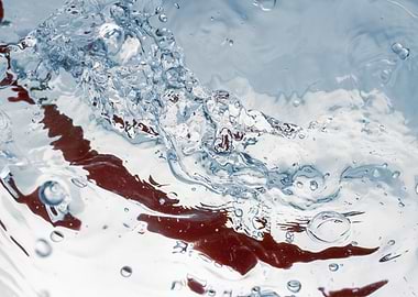 Pepperoni in water 2